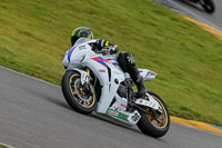 PJ-Motorsport-2019;anglesey-no-limits-trackday;anglesey-photographs;anglesey-trackday-photographs;enduro-digital-images;event-digital-images;eventdigitalimages;no-limits-trackdays;peter-wileman-photography;racing-digital-images;trac-mon;trackday-digital-images;trackday-photos;ty-croes